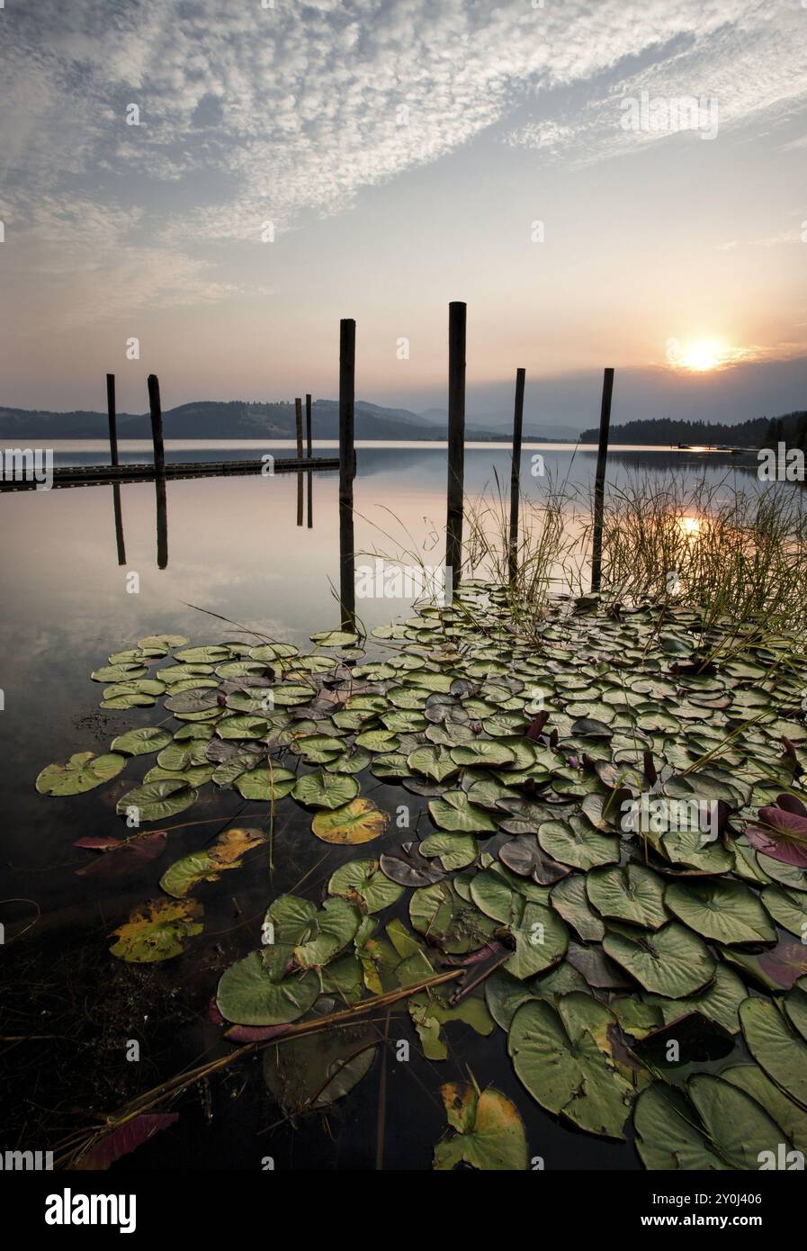 Der farbenfrohe Sonnenaufgang scheint über dem ruhigen See und den Lilienplättchen am Chatcolet Lake in der Nähe von Plummer, Idaho Stockfoto