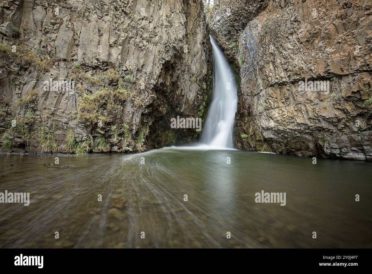 Die wunderschönen Hawk Creek Falls nordwestlich von Davenport Washington in der Nähe des Spokane River, der auf den Columbia River trifft Stockfoto