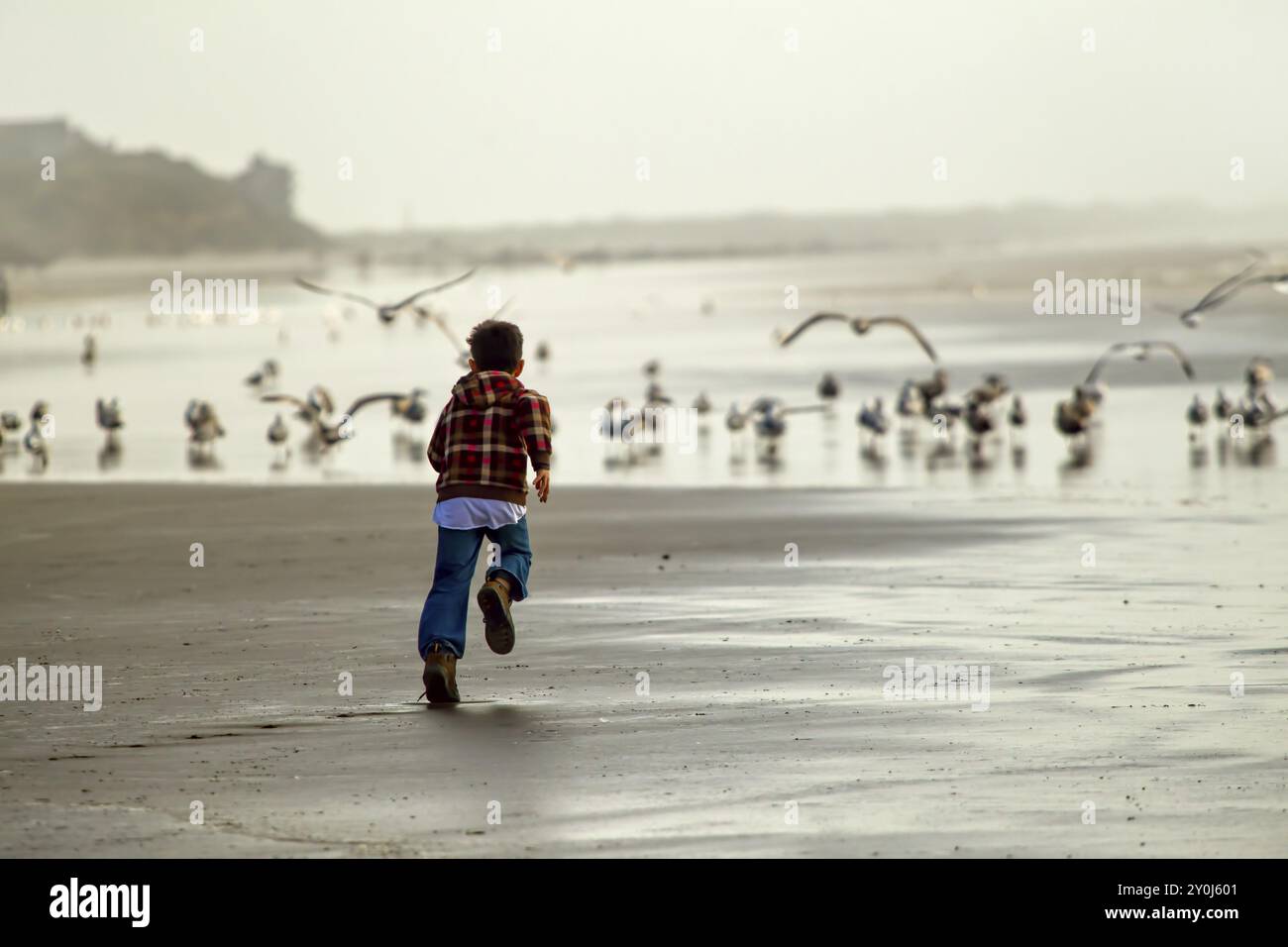 Ein kleiner Junge jagt Möwen am Strand in Newport, Oregon Stockfoto