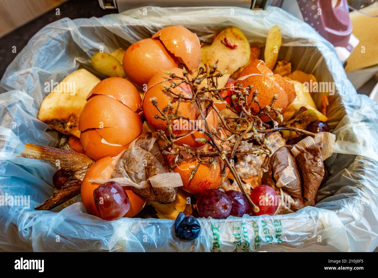 Lebensmittelabfälle in einem Küchenabfallwagen, voll und bereit zum Leeren in den Bordsteinrahmen zur Sammlung und Kompostierung in einer gemeindeeinrichtung. Stockfoto