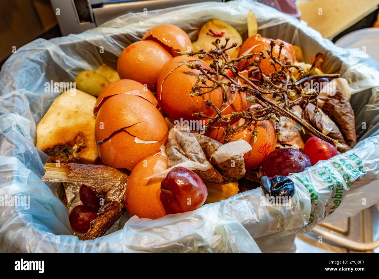 Lebensmittelabfälle in einem Küchenabfallwagen, voll und bereit zum Leeren in den Bordsteinrahmen zur Sammlung und Kompostierung in einer gemeindeeinrichtung. Stockfoto