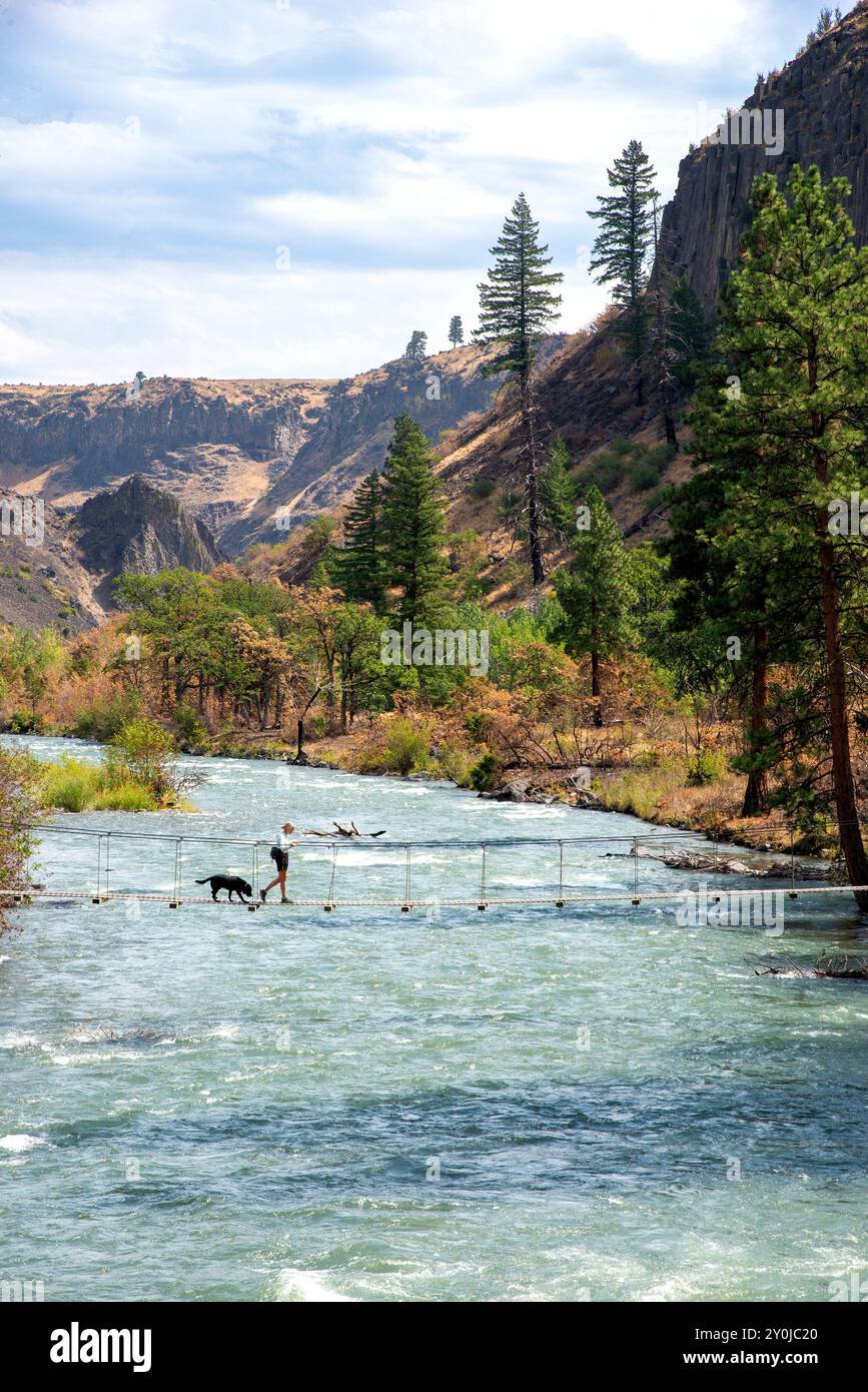 Alleinstehende Seniorin mit ihrem schwarzen Labor, die über eine Metallbrücke über dem Tieton River im Tieton River Canyon im Zentrum von Washington wandert. Stockfoto