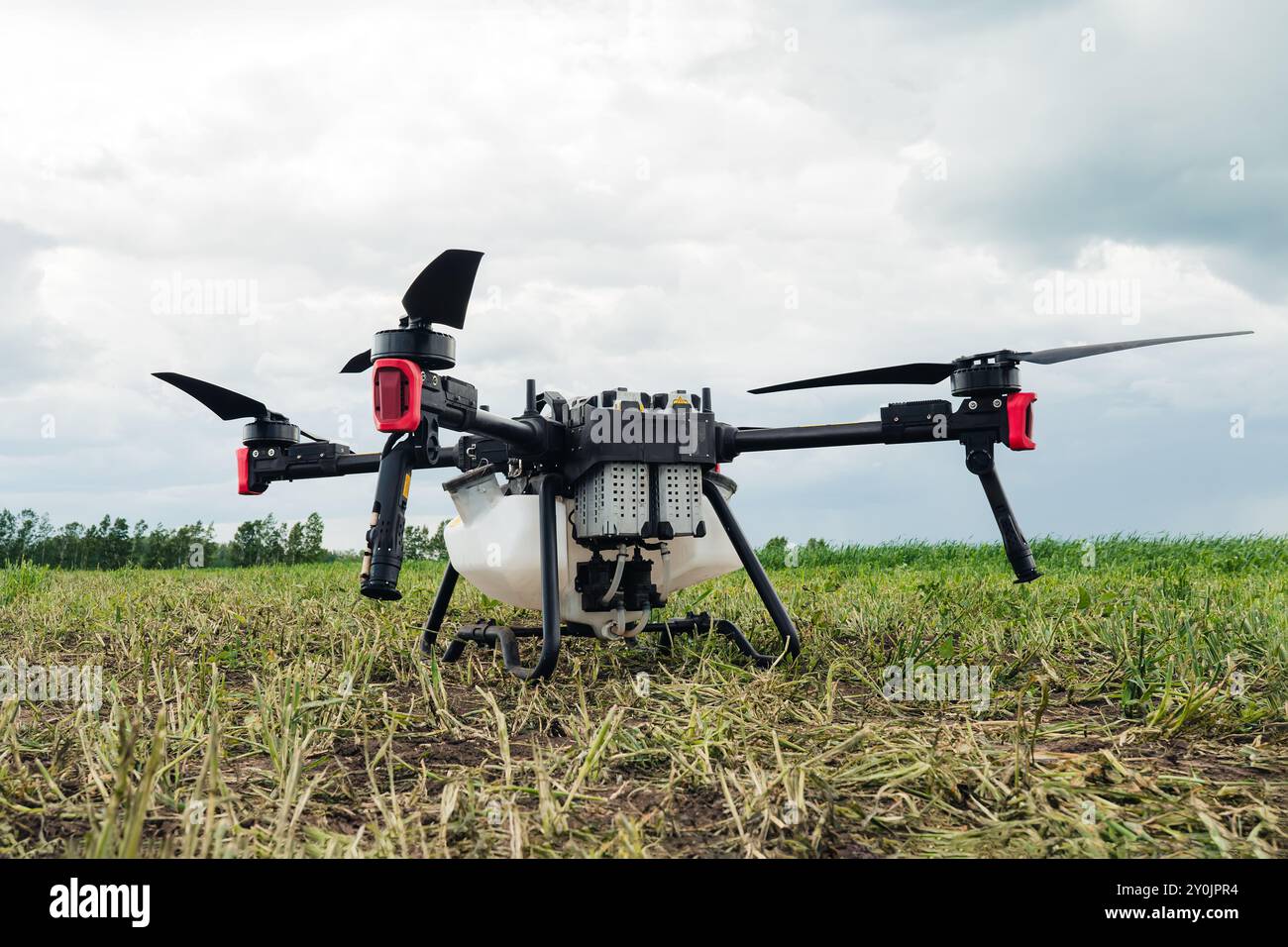 Drohne in der Farm Verwendung für Spray ein Wasser, Dünger oder chemische auf dem Feld, Bauernhof für das Wachstum ein Ertrag, Ernte. IoT-Lösung für intelligente Landwirtschaft. Behandeln Stockfoto