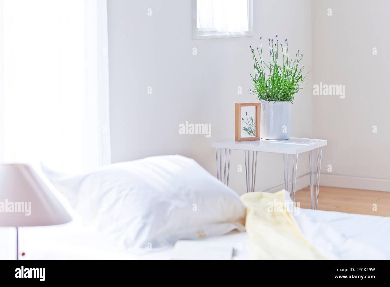 Lavendel am Bett Stockfoto