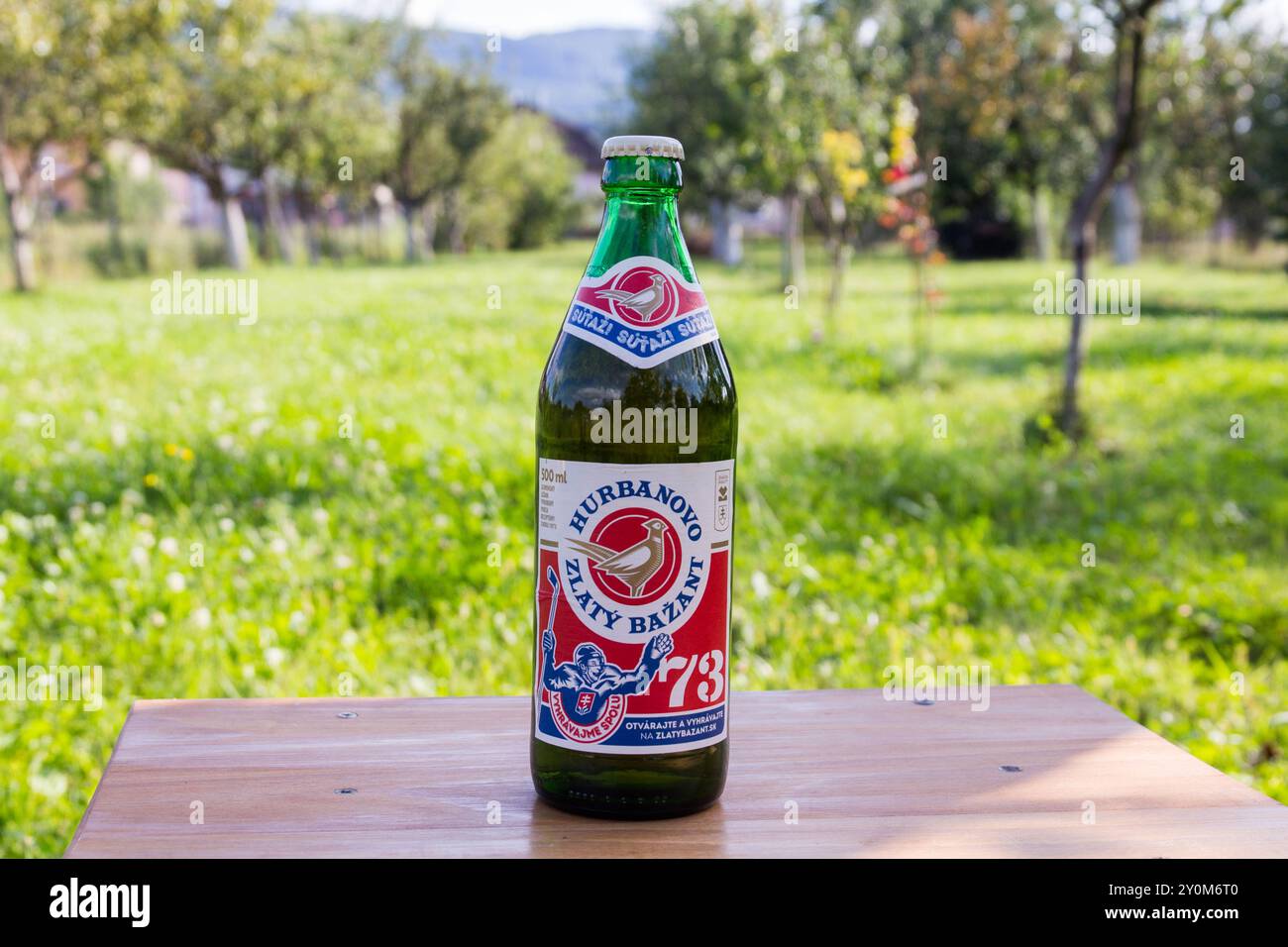 Eine Flasche Zlaty Bazant Retro-Label, slowakisches Bier auf einem kleinen Holztisch im Garten Stockfoto
