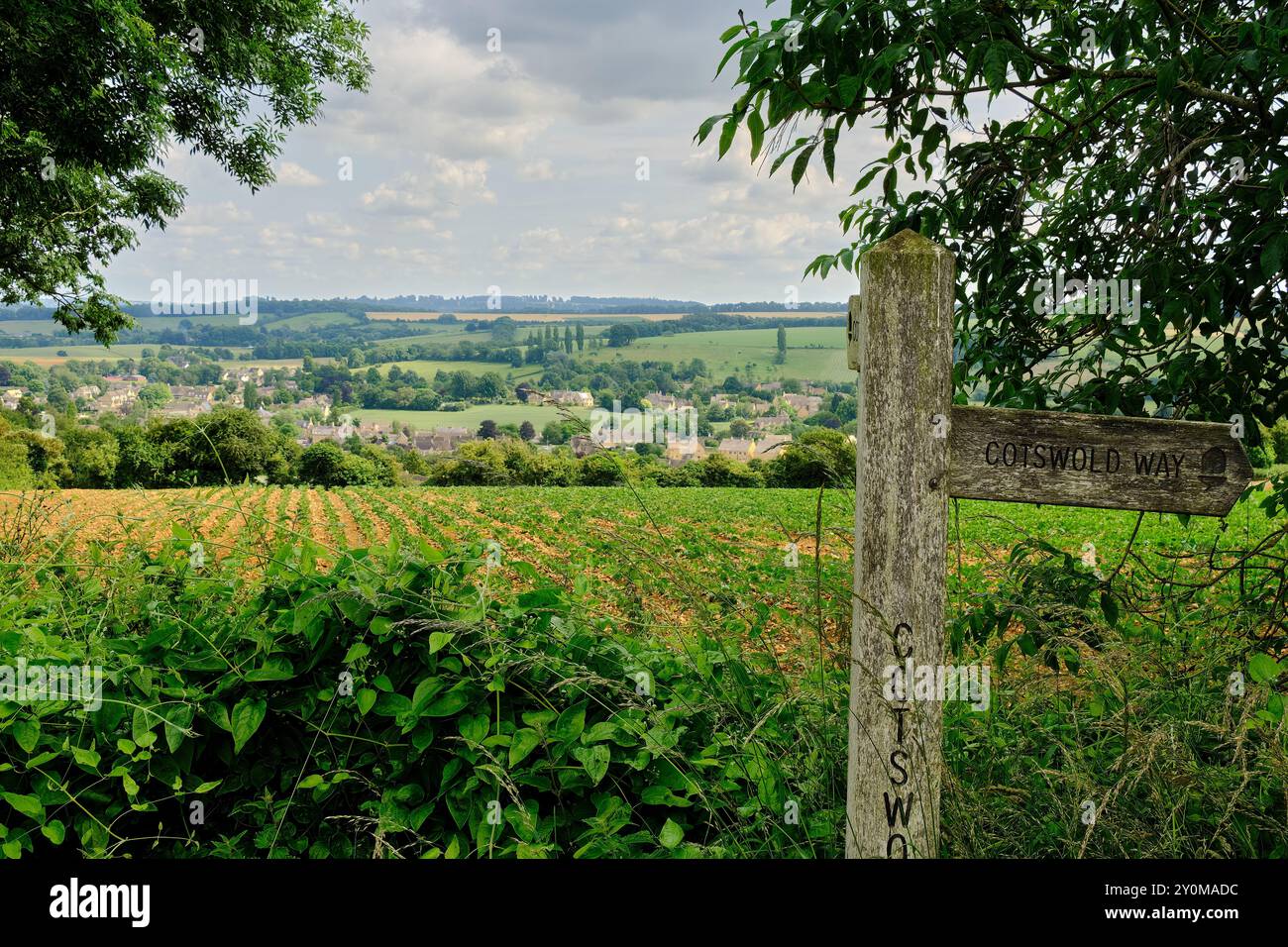 Panoramablick vom Cotswold Way Wanderweg durch die malerische Landschaft Chipping Camden English Landscape, Cotswolds, Gloucestershire, England, Großbritannien Stockfoto