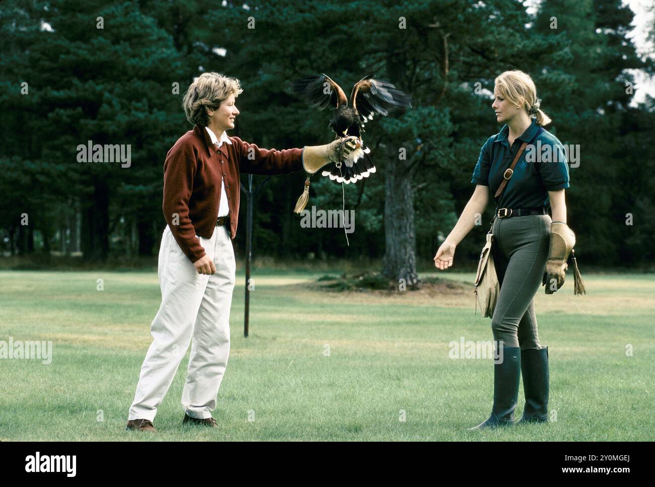 Die British School of Falconry in Gleneagles, die Emma Ford unterrichtet, zeigt Jane Redman, die im Gleneagles Hotel wohnt, wie man mit einem Harris Hawk umgeht. HOMER SYKES AUS DEN 1997 1990ER JAHREN Stockfoto