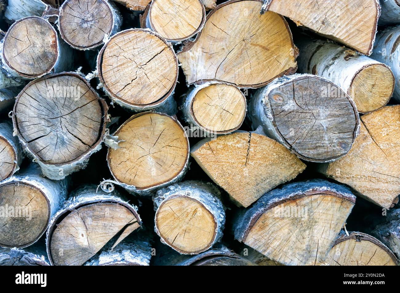 Stapel von Birkenholzstämmen mit natürlichen Holzstrukturen in verschiedenen Farben und Größen, die bei Tageslicht ordentlich vor einer rustikalen Kulisse angeordnet sind. Stockfoto