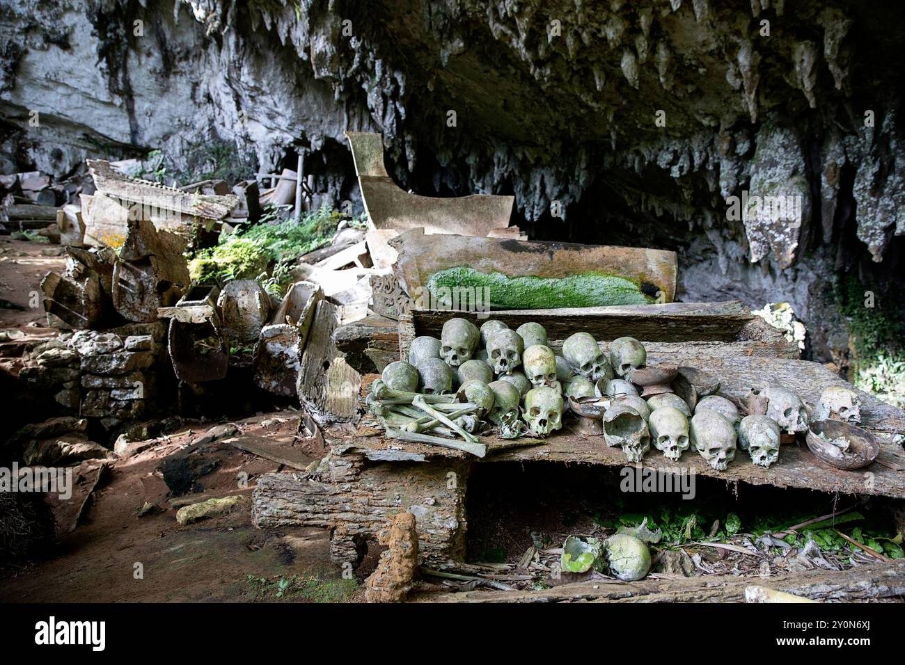 Die historische Grabstätte von Lombok Parinding in Tana Toraja, menschliche Schädel, Knochen und Holzsärge, die in der spektakulären Höhlengruft Sulawesi freigelegt werden Stockfoto