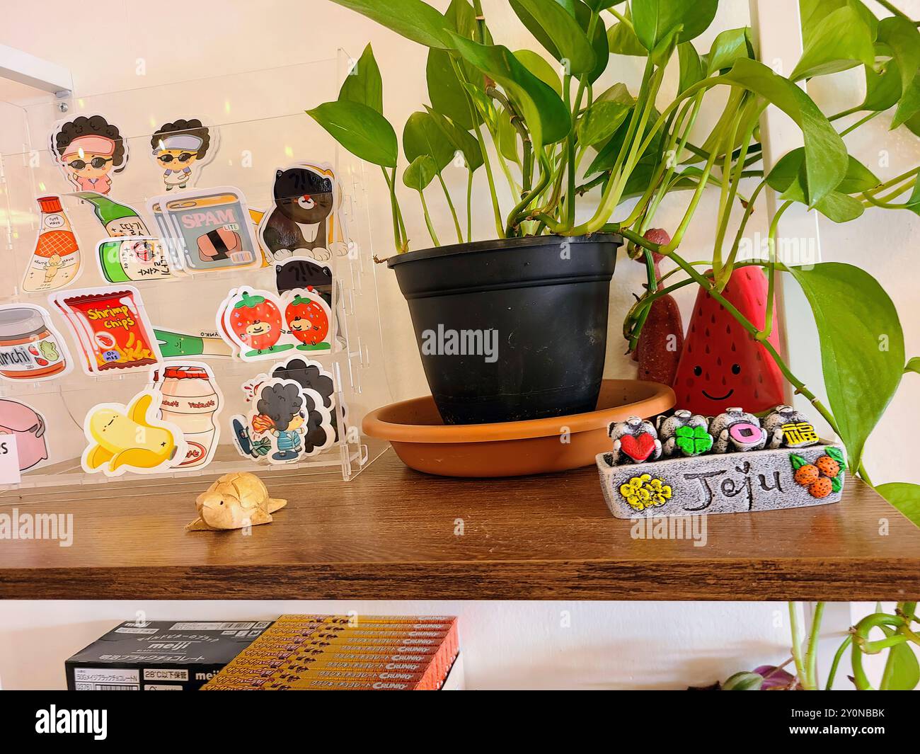 Gemütliches Regal mit Topfpflanze und niedlichen Aufklebern auf Augenhöhe Stockfoto
