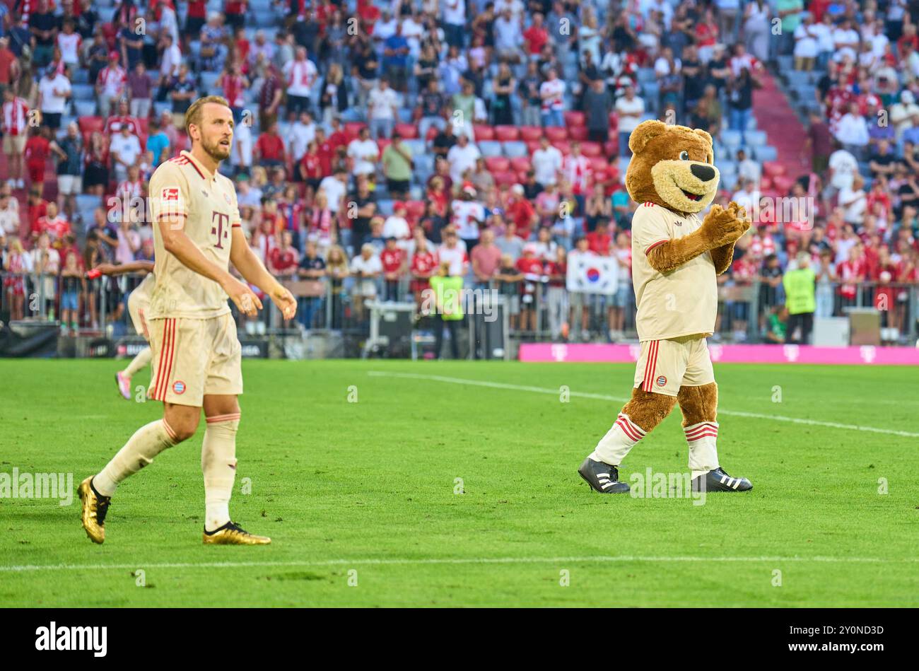 Ehrenrunde: Harry Kane, FCB 9 Maskottchen Bernie, Maskottchen, im Spiel FC BAYERN MÜNCHEN - SC FREIBURG 2-0 am 1. September 2024 in München. Saison 2024/2025, 1.Bundesliga, FCB, München, Spieltag 2, 2.Spieltag Fotograf: Peter Schatz - DFL-VORSCHRIFTEN VERBIETEN JEDE VERWENDUNG VON FOTOGRAFIEN als BILDSEQUENZEN und/oder QUASI-VIDEO - Stockfoto