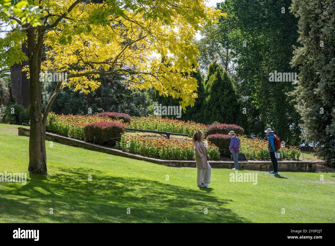 Besucher besuchen die Royal Tasmanian Botanical Gardens, Queens Domain, Hobart, Tasmanien, Australien Stockfoto