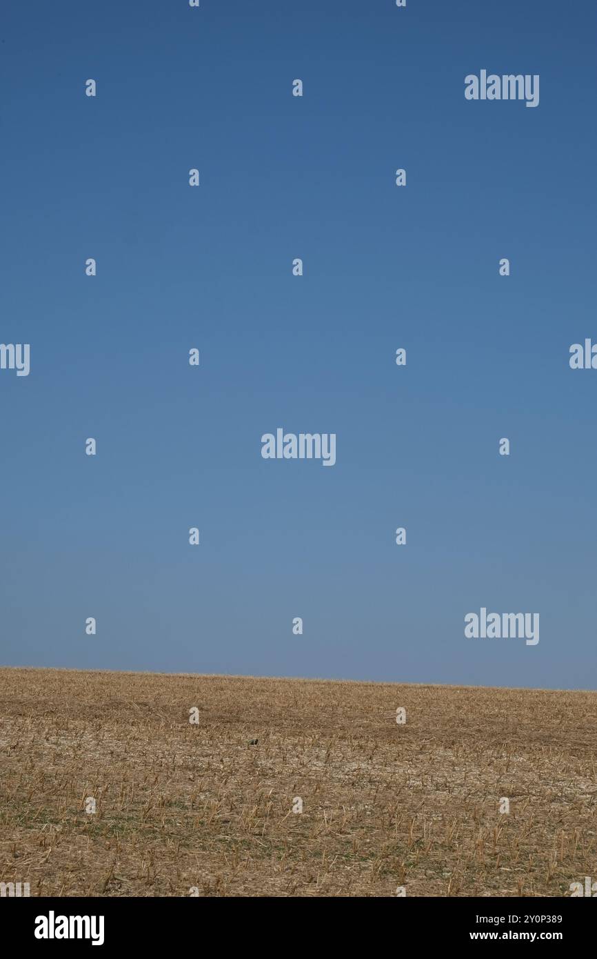 Yorkshire Wolds, Yorkshire, England Stockfoto