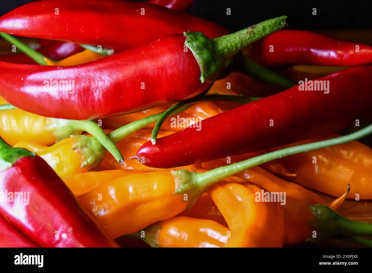 Rote und gelbe Chilis Stockfoto