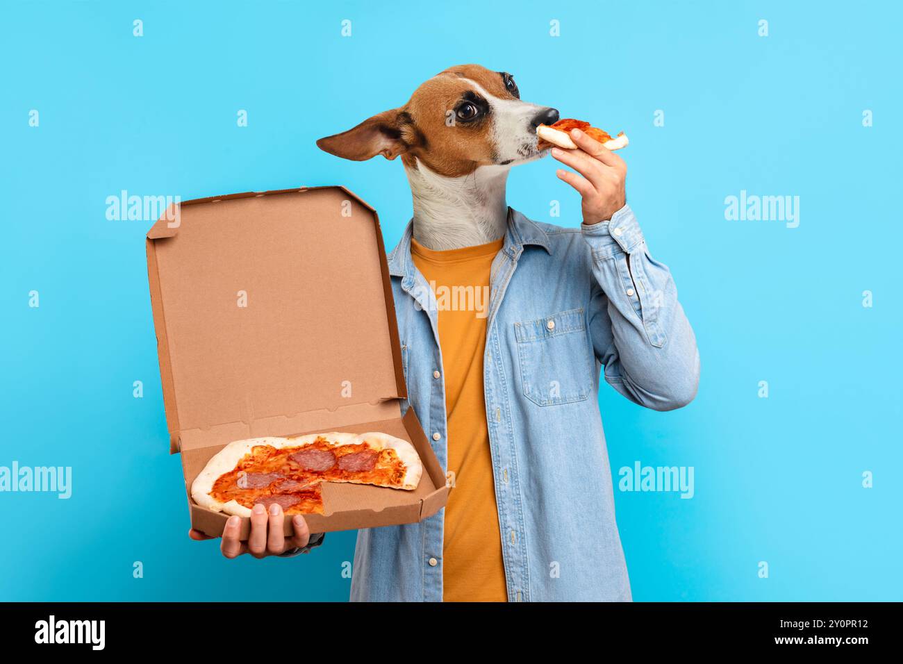 Ein verspielter Hund genießt Pizza, während er vor blauem Hintergrund steht Stockfoto