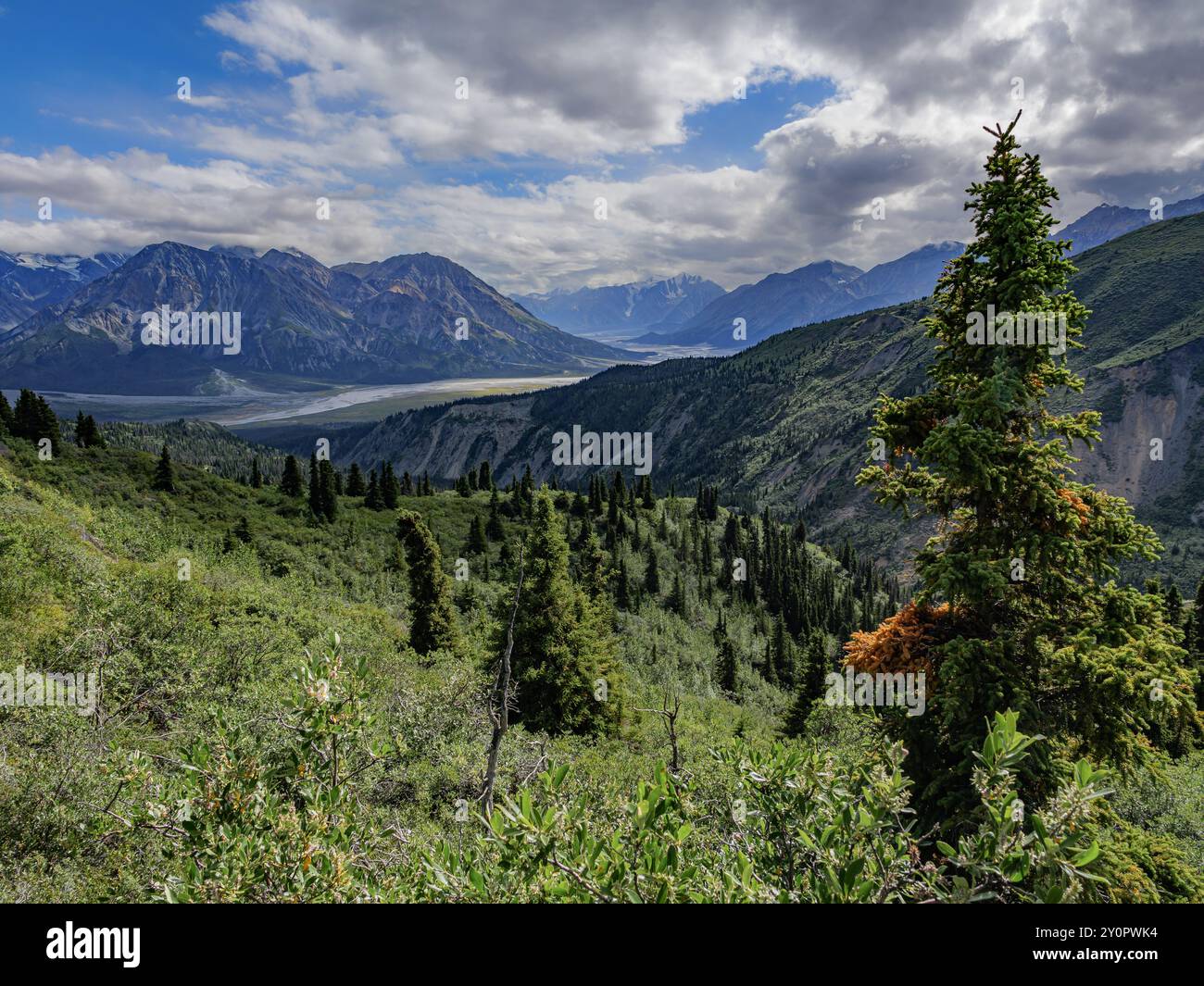 Wunderschöner Blick auf das AAY Chu Valley vom Sheep Creek Trail im Kluane National Park, Yukon, Kanada. Stockfoto