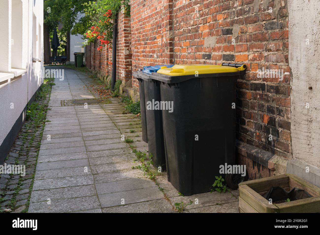 Mülltonnen aus Kunststoff mit farbigen Deckeln, die an einer Ziegelwand in einer engen Straße anliegen. Stockfoto