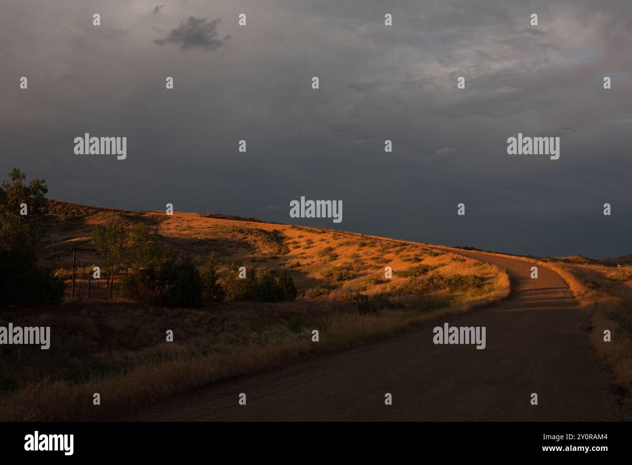 Warmes Licht des Sonnenuntergangs scheint auf dem Weg zum Pferdecamp, Fourchette Bay, MT. Fourchette Bay ist ein Campingplatz des Army Corps of Engineers am Fort Peck Reservoir. Stockfoto