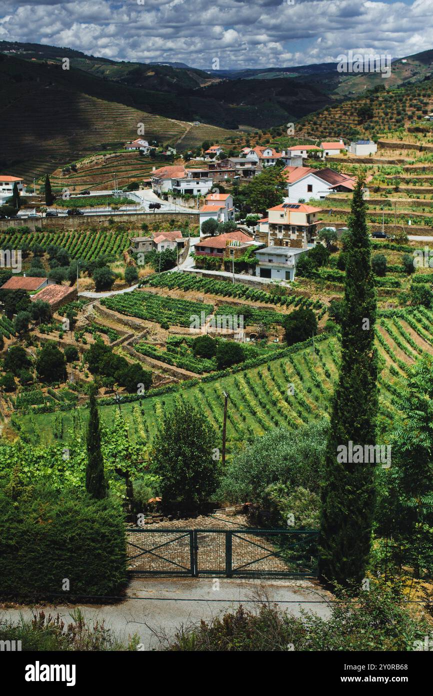 Ein Blick auf die üppig grünen Weinberge im Douro-Tal, Portugal. Stockfoto