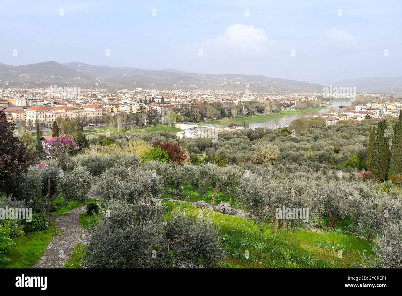 Erhöhter Blick auf den Giardino dell'Iris (Iris-Garten), einen botanischen Garten, der auf den Anbau von Iris-Blumen spezialisiert ist, DAS Symbol der Stadt Florenz Stockfoto