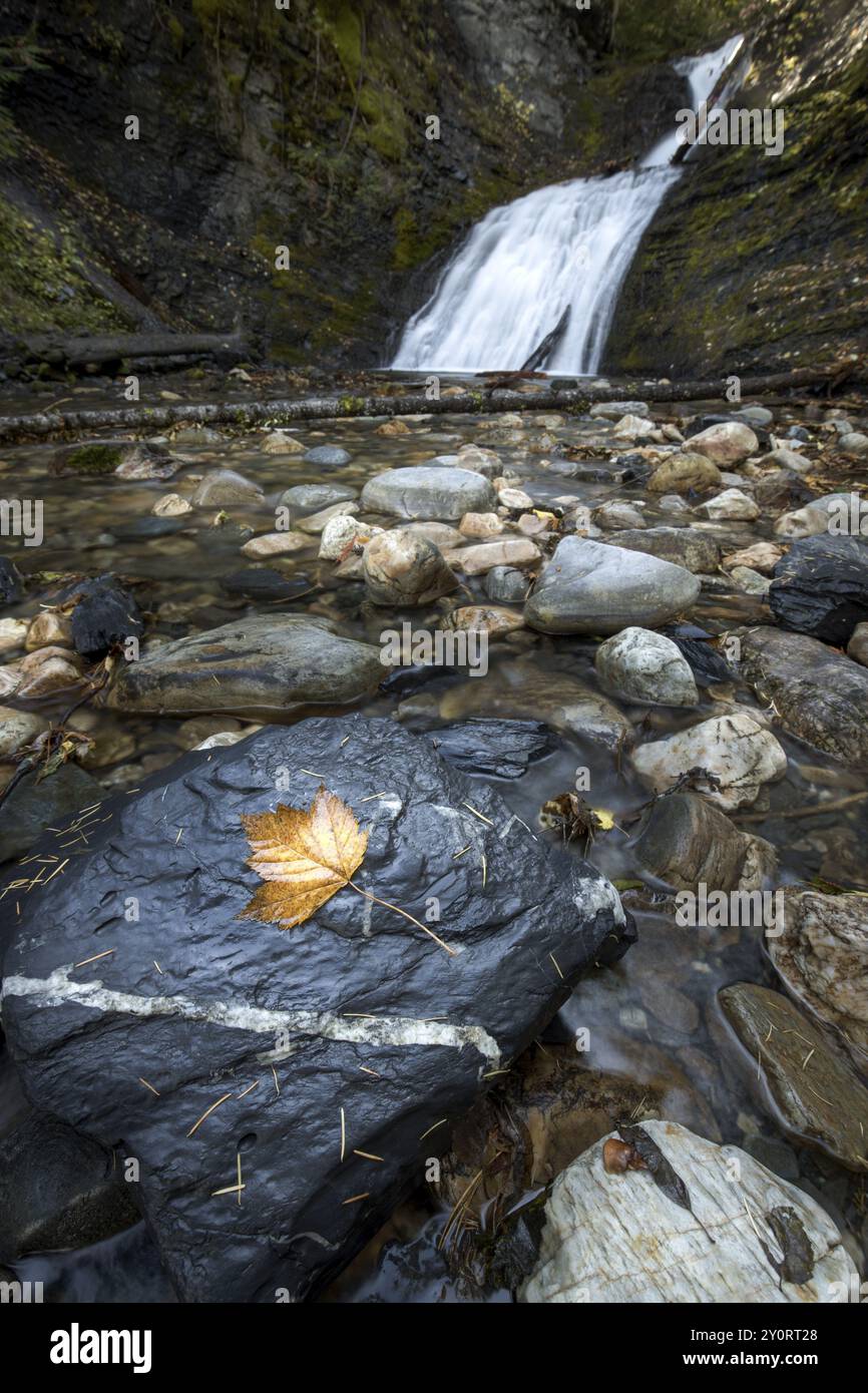 Der obere SweetCreek fällt in der Nähe von Metaline, Washington. Fotografiert im Oktober Stockfoto