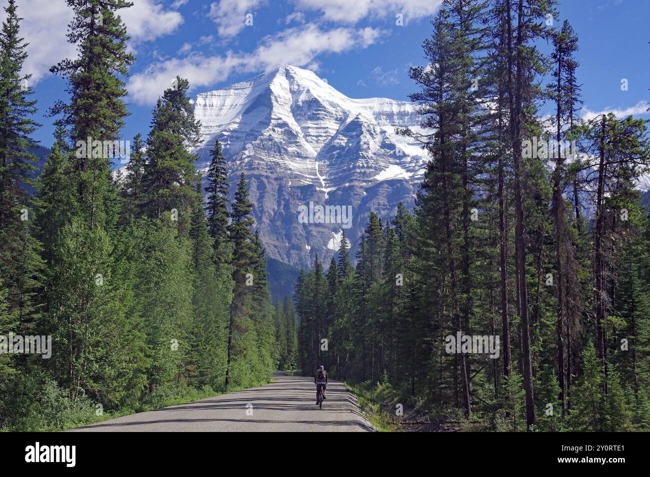 Eine schmale Straße führt zu einem schneebedeckten Berg unter blauem Himmel, Radfahrer, Mount Robson, British Columbia, Kanada, Nordamerika Stockfoto