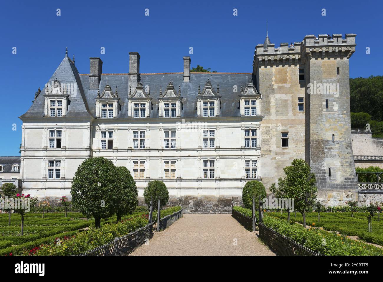 Seitenansicht einer historischen Steinburg mit beigefarbenen Mauern an einem sonnigen Tag, Schloss Villandry, Renaissance, Touren, Loire-Tal, Centre-Val de Loire Stockfoto