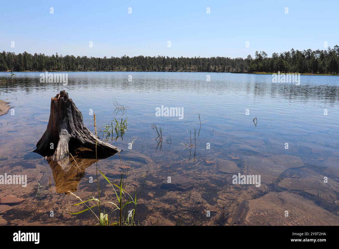 Blick auf das Wasser und die Bäume am Willow Springs Lake östlich von Payson. Stockfoto