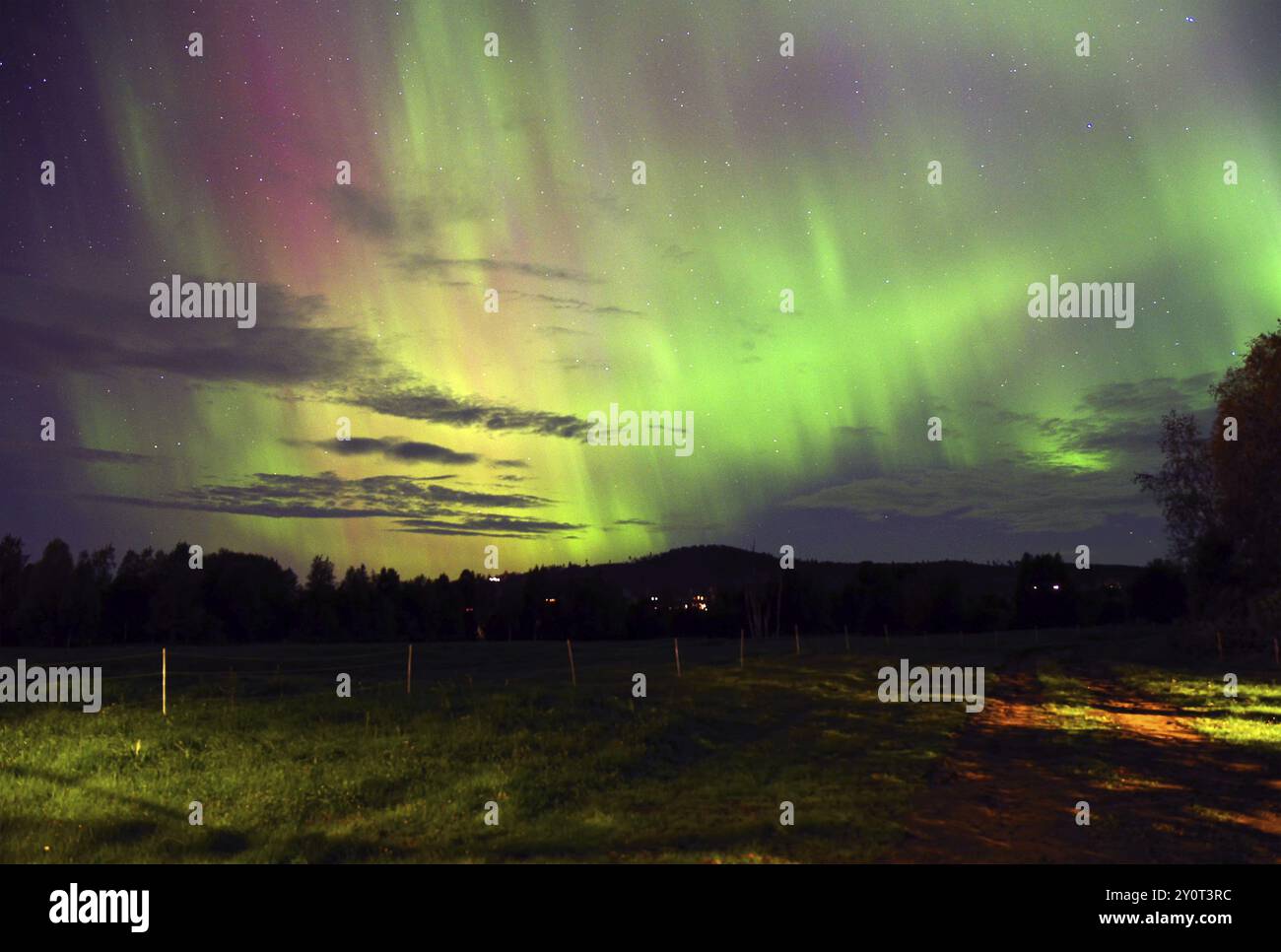 Eindrucksvolle Auroras in grünen und lila Farben erleuchten den Nachthimmel über einer dunklen Landschaft, Vemdalen, Vaermland, Schweden, Europa Stockfoto