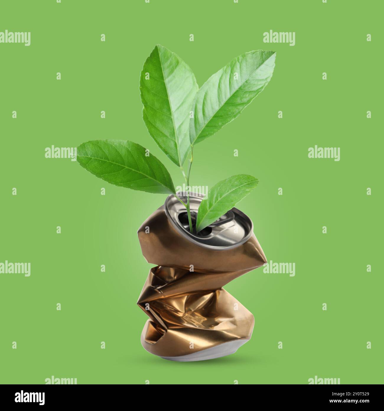 Sämling mit Blättern, die aus zerknitterter Dose auf grünem Hintergrund wachsen. Recycling Stockfoto