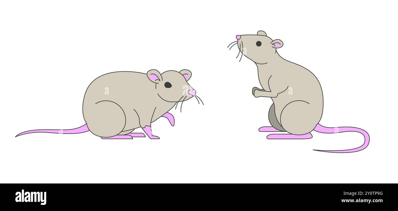 Ein paar süße domestizierte Ratten 2D-Zeichentrickfiguren Stock Vektor