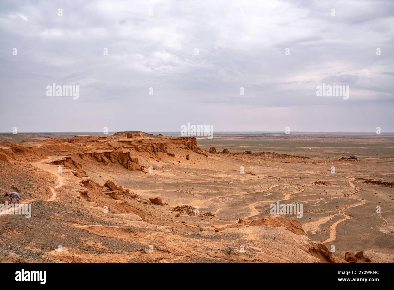 Eine junge Frau sucht nach Dinosaurierknochen an den Flaming Cliffs in der Wüste Gobi in der Mongolei. Stockfoto