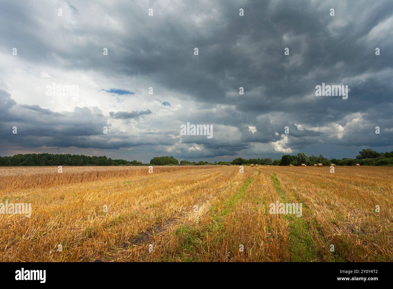 Dunkle Sturmwolken über einem Stoppelfeld, Sommerblick, Ostpolen Stockfoto