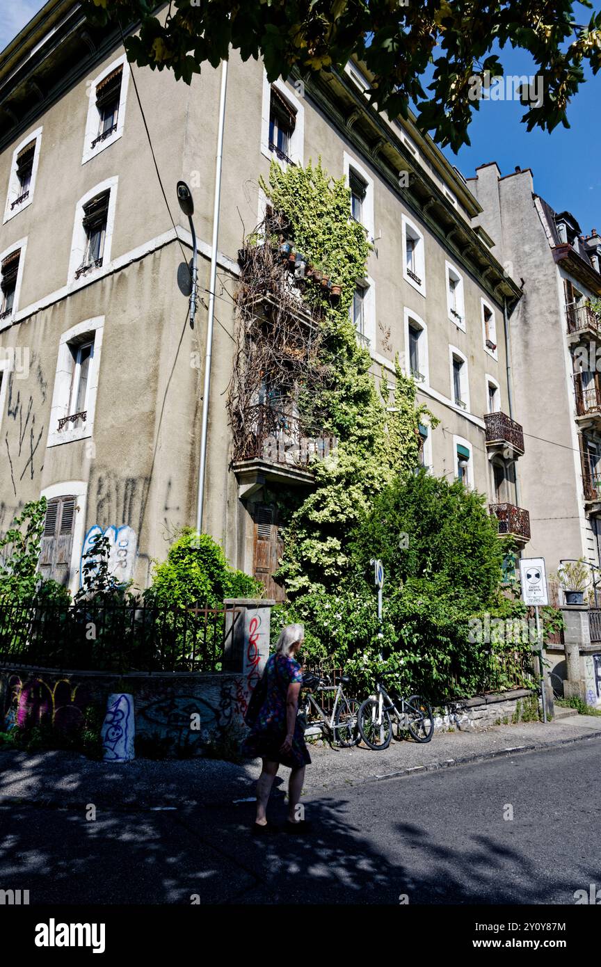 Frau, die an einem sonnigen Tag im Viertel Grottes Saint-Gervais an einem mit Efeu bedeckten Gebäude vorbeiläuft Stockfoto