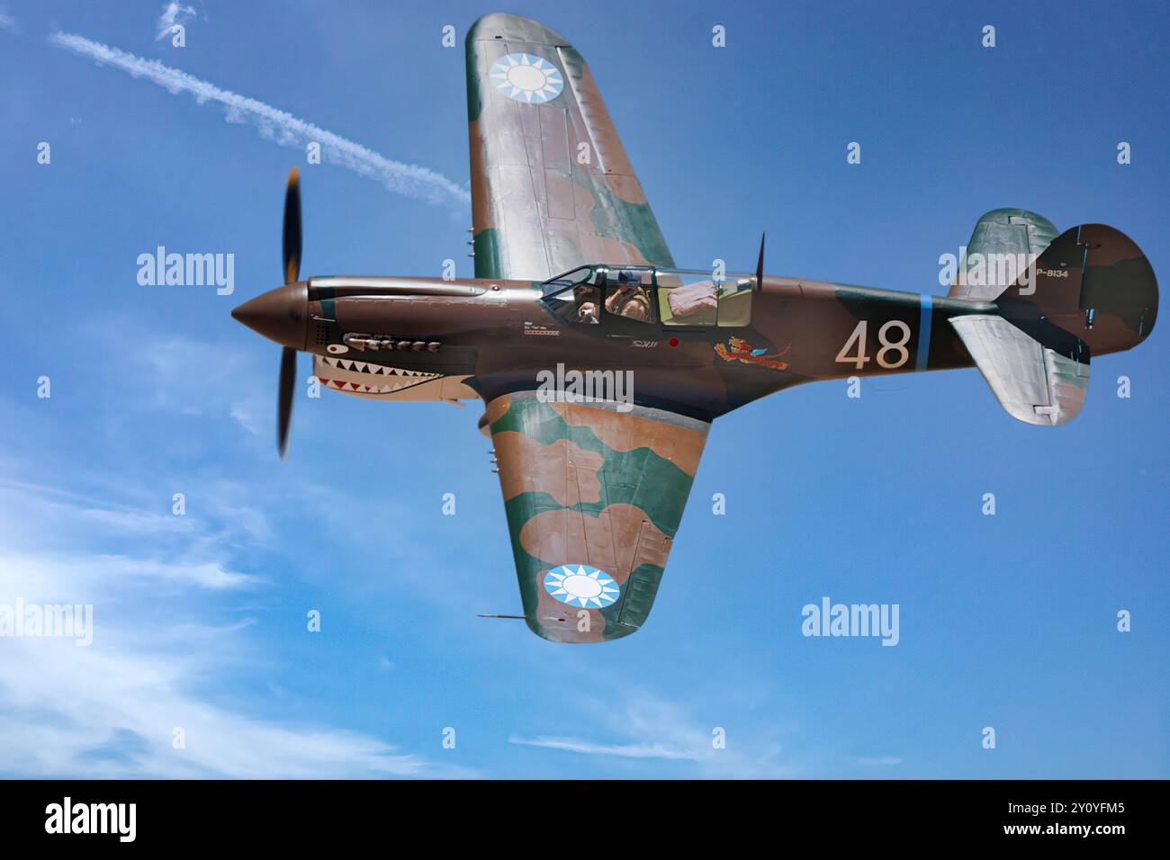 Eine Curtiss P-40 Warhawk tritt 2024 auf der Legacy of Liberty Airshow auf der Holloman Air Force Base in der Nähe von Alamogordo, New Mexico, auf. Stockfoto