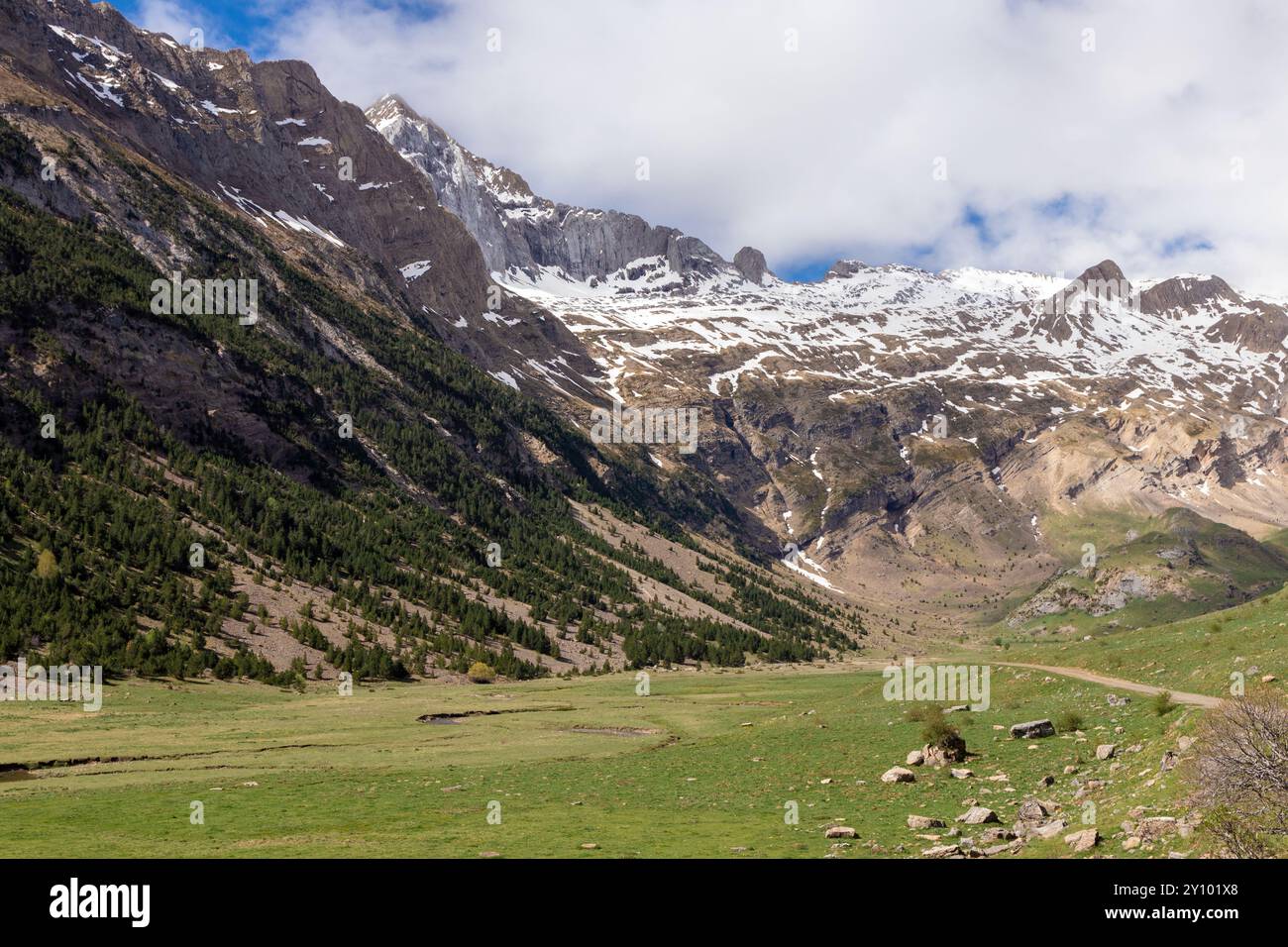 alpental mit schneebedeckten Bergen und saftig grünen Wiesen an einem klaren Tag Stockfoto