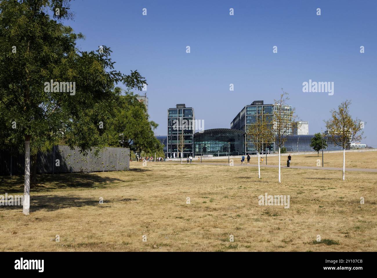 Vertrocknete Wiese im Spreebogenpark in Berlin, 04.09.2024. Im Hintergrund der Berliner Hauptbahnhof. Berlin Deutschland *** Trockenwiese im Spreeboge Stockfoto