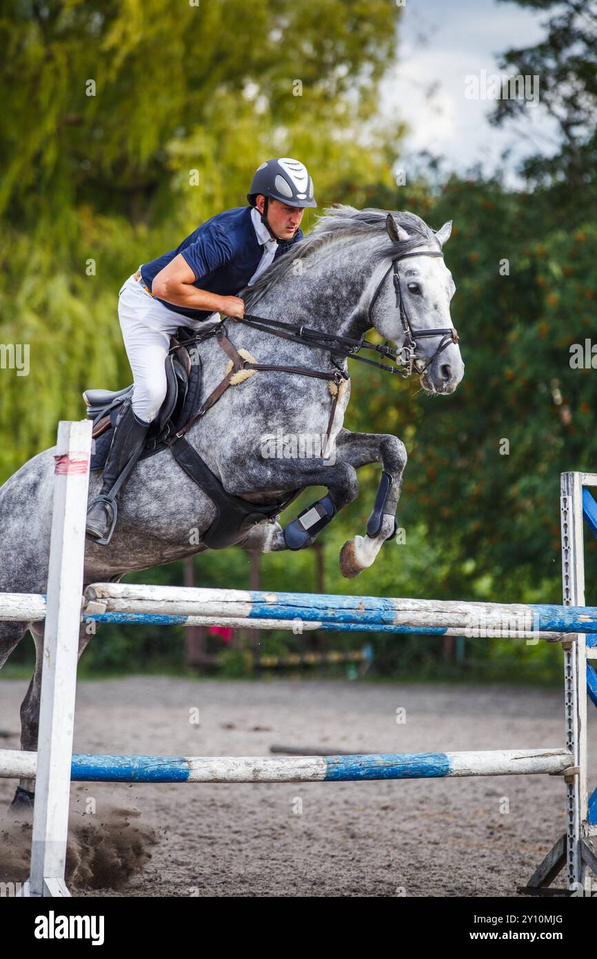 Ein Sportler, der auf einem weißen Pferd reitet und auf seinem Springplatz in einem Reitwettbewerb über ein Hindernis springt Stockfoto