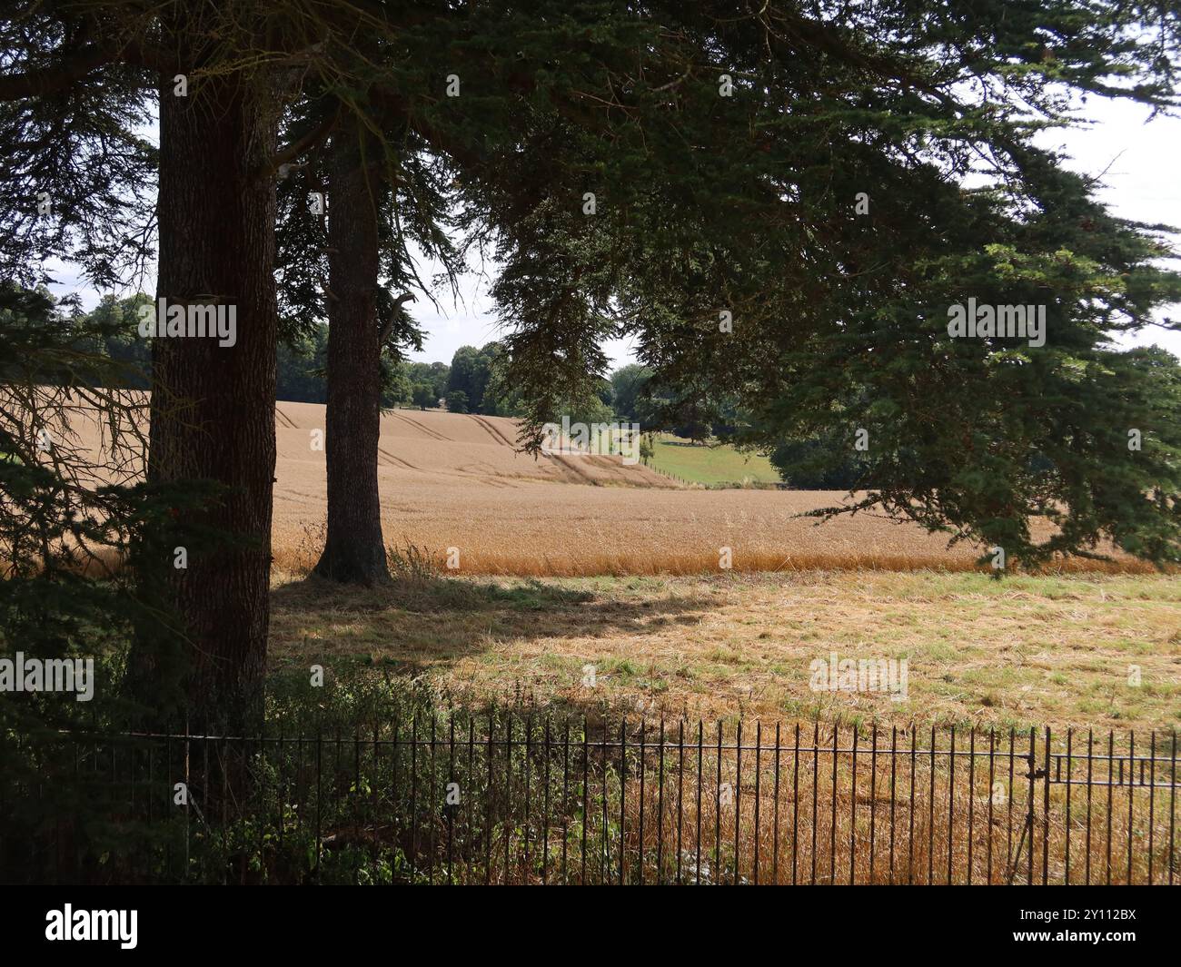 Ein Blick auf die Landschaft von Northamptonshire mit herbstlichem Licht auf den Feldern; die Umgebung in der Rushton Triangular Lodge. Stockfoto