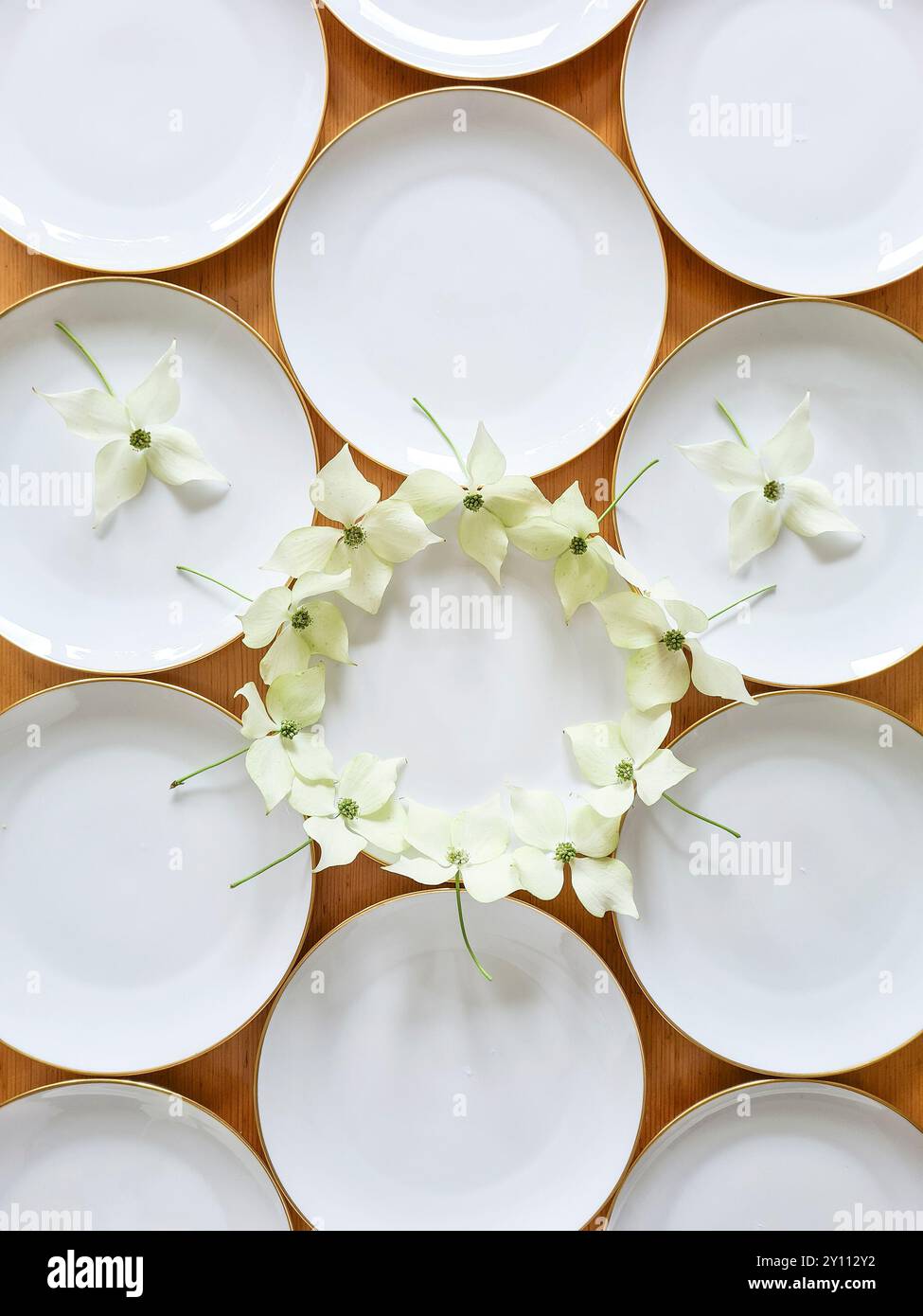 Weiße Teller mit goldenem Rand sind festlich mit den Blumen der Hartholzpflanze verziert, Vorbereitung und Dekoration für eine Feier, Tischdekoration Stockfoto