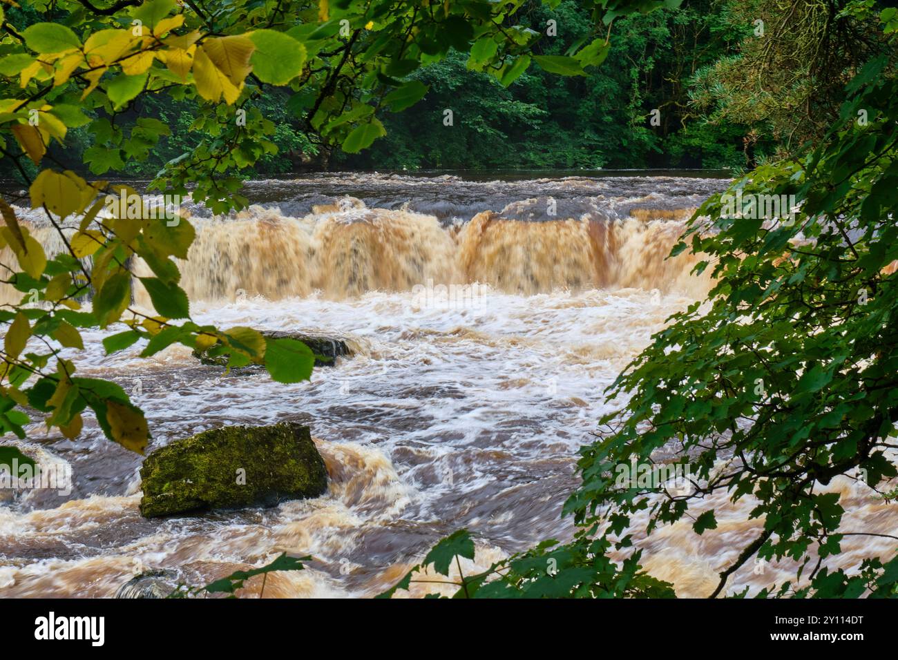 Aysgarth Upper Falls, Aysgarth, North Yorkshire Stockfoto