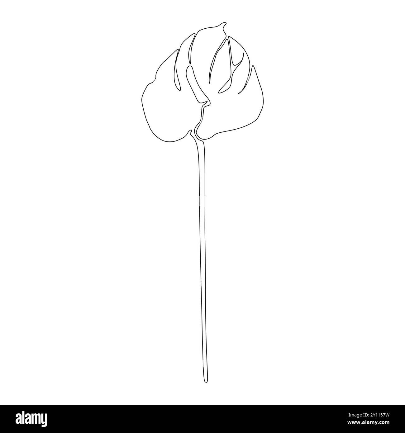 Anthurium-Linienzeichnung. Schwarz-weiße Blumensträuße. Blumenseite. Kunst Mit Blumenmuster Abbildung: Feine Lilien. Handgezeichnet f Stock Vektor