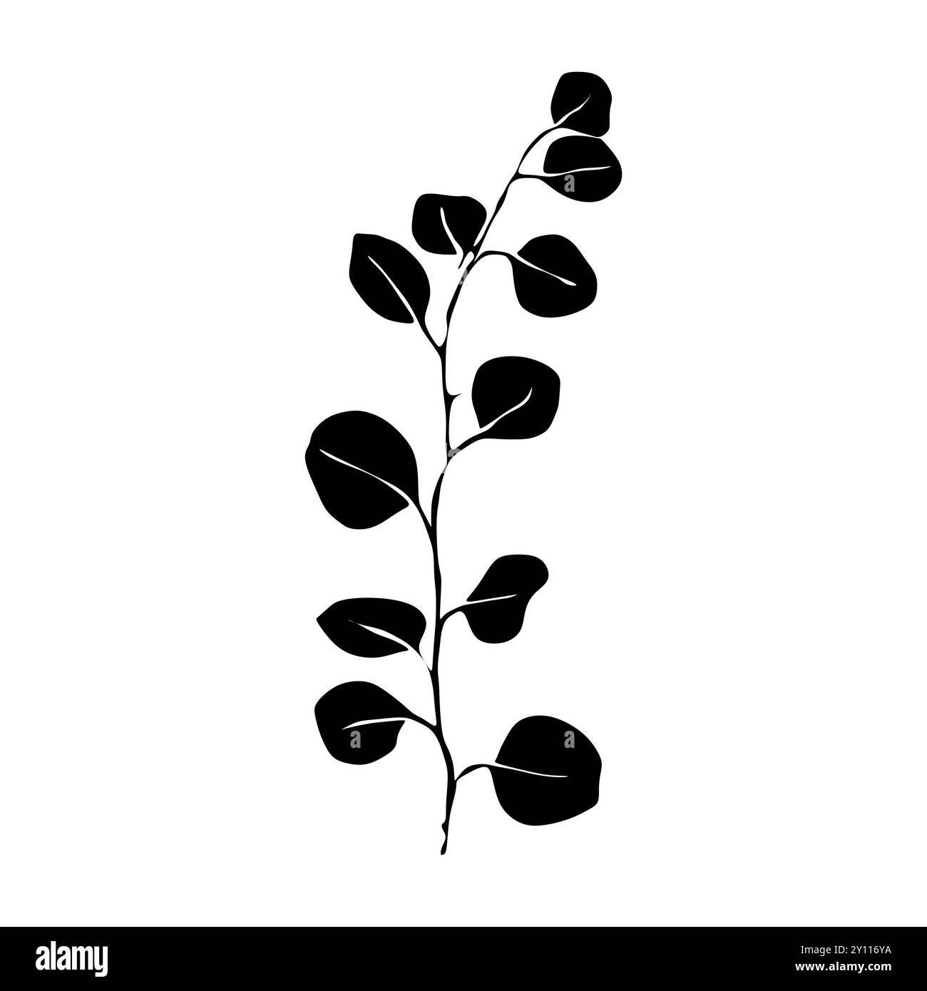 Eukalypthus Lily Schwarze und weiße Silhouette. Silhouette mit Blumenmuster. Handgezeichnete Blumen. Botanische schwarze Silhouette isoliert auf weißem Hintergrund Stock Vektor