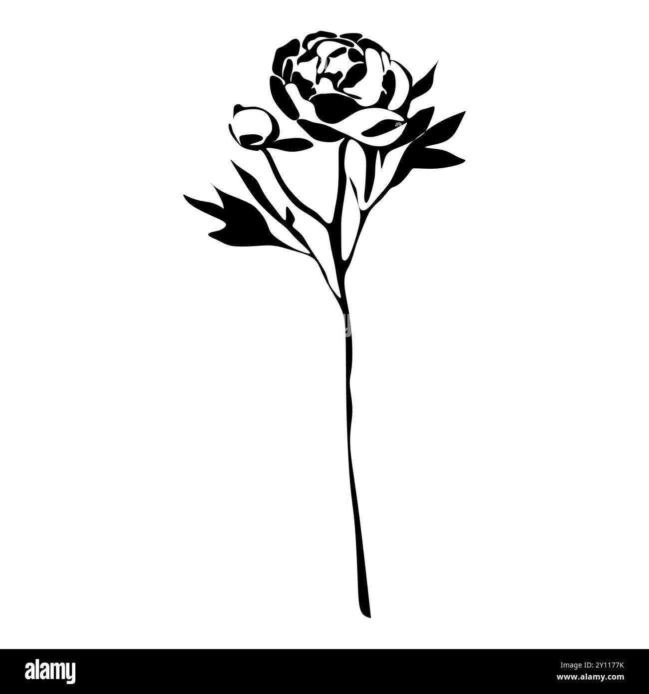 Pfingstrose Schwarz-weiß-Silhouette. Silhouette mit Blumenmuster. Handgezeichnete Blumen. Botanische schwarze Silhouette isoliert auf weißem Hintergrund Stock Vektor