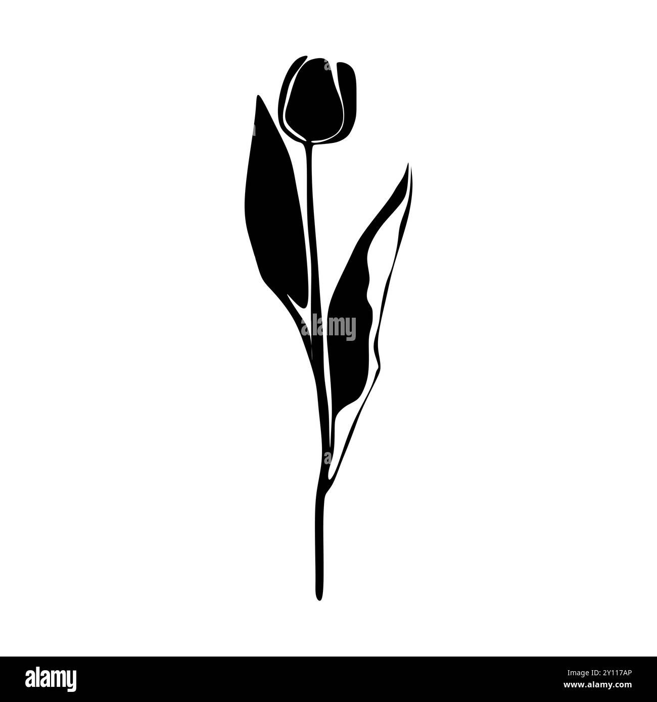 Silhouette in Tulip Black und White. Silhouette mit Blumenmuster. Handgezeichnete Blumen. Botanische schwarze Silhouette isoliert auf weißem Hintergrund Stock Vektor