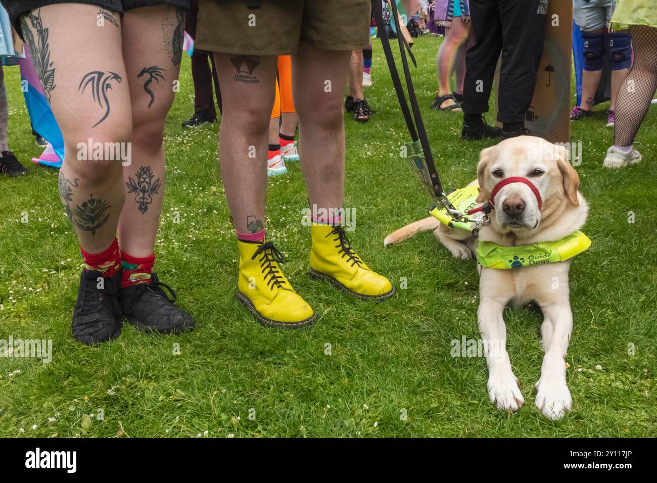 England, Kent, Canterbury, die jährliche Canterbury Pride Parade, Guide Dog und Bunte menschliche Beine Stockfoto