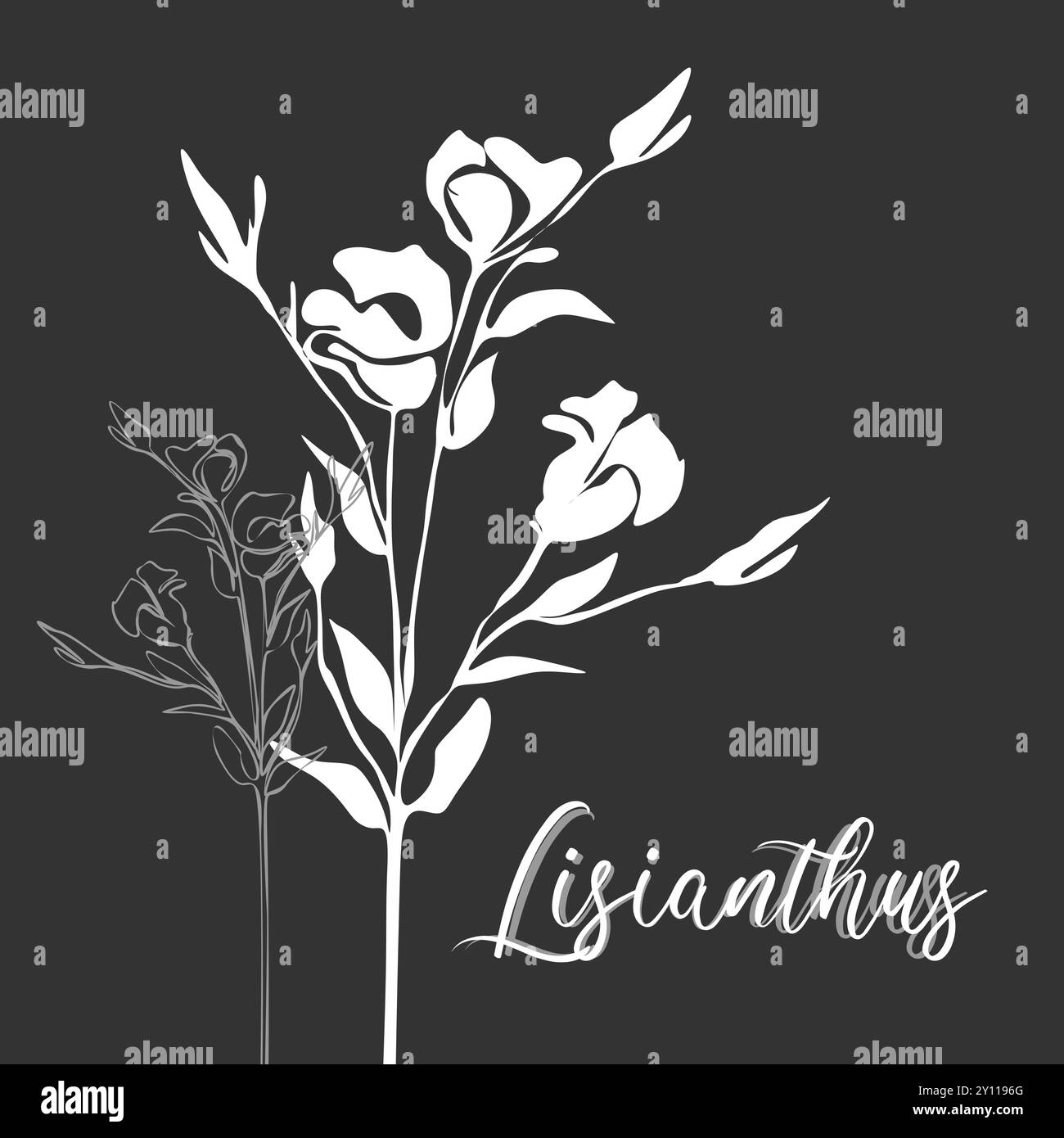 Lisianthus für Logo, Dekoration, Karte. Einladung. Handgezeichnete weiße Linie und Silhouette. Handgezeichnete Linie Hochzeitsdekoration, elegante Blätter für Invit Stock Vektor