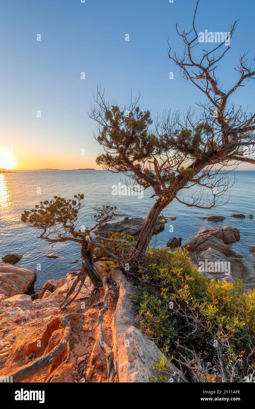 Sonnenaufgang in Plage de La Folaca, zwischen Palombaggia und Santa Giulia. Porto Vecchio, Corse du Sud, Korsika, Frankreich Stockfoto