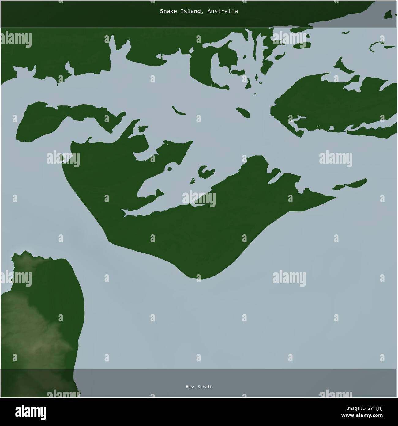 Snake Island in der Bass Strait, die zu Australien gehört, wurde auf einer farbigen Höhenkarte quadratisch zugeschnitten Stockfoto