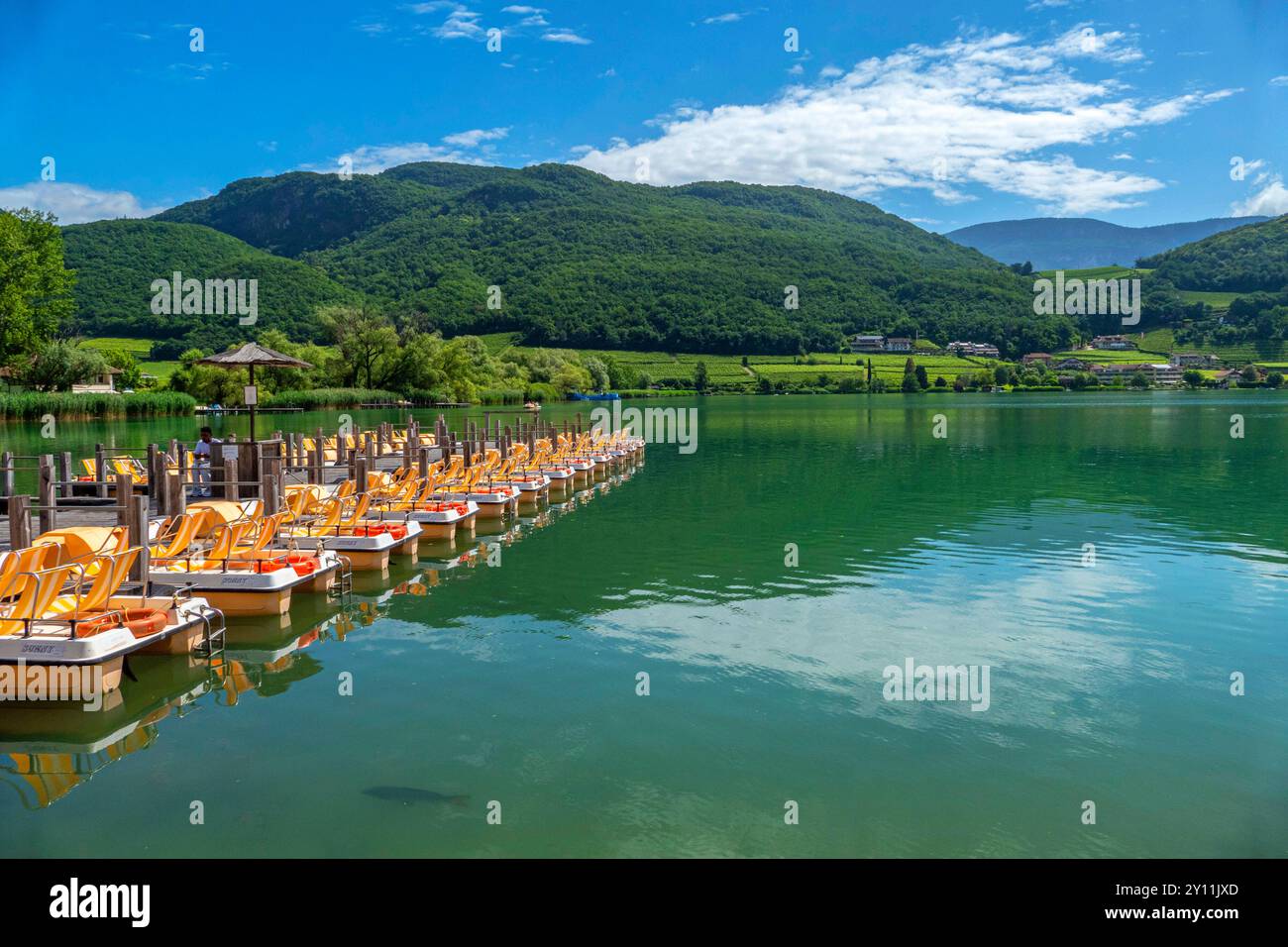 Tretbootverleih am Kalterer See, Kaltern, Südtiroler Weinstraße, Provinz Bozen, Südtirol, Trentino-Südtirol, Italien, Italien Stockfoto